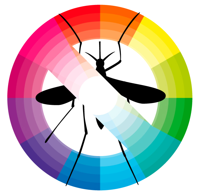 Farben und Muster für Insektenschutztüren