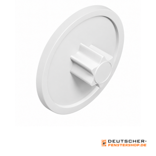 Abdeckkappe für Fensterschrauben TX30 Reinweiß RAL 9010